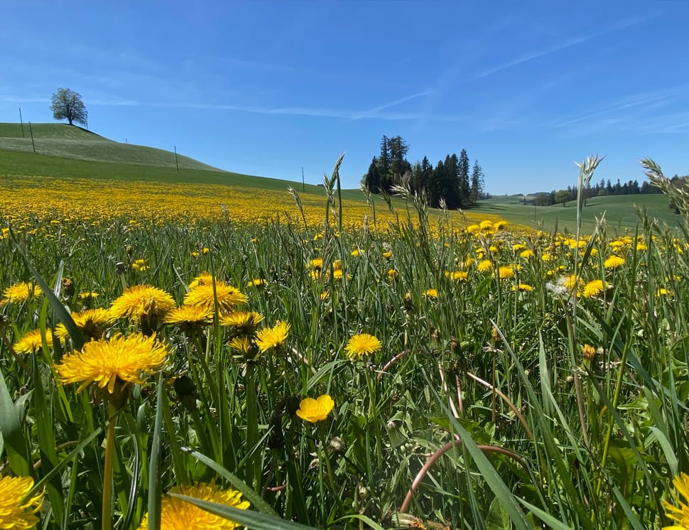 erlebnisformate-walkabout